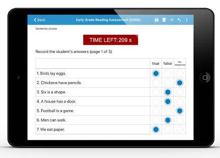 EGRA blog post sample T or F sentence assessment