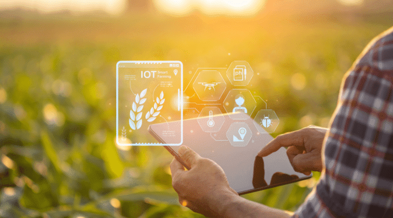 Farmer using digital tablet in corn crop cultivated field with smart farming interface icons and light flare sunset effect. Smart and new technology for agriculture business concept.