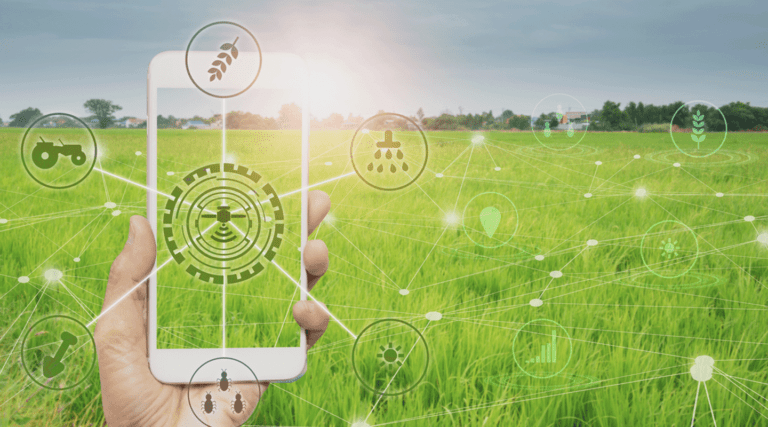 A hand holds a smartphone in a green field.